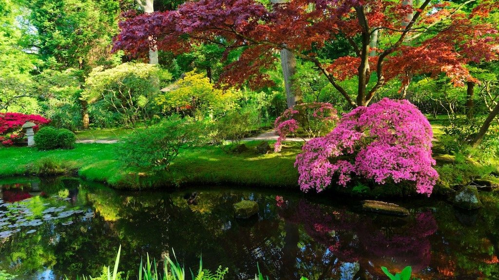 Japanese Garden The Hague