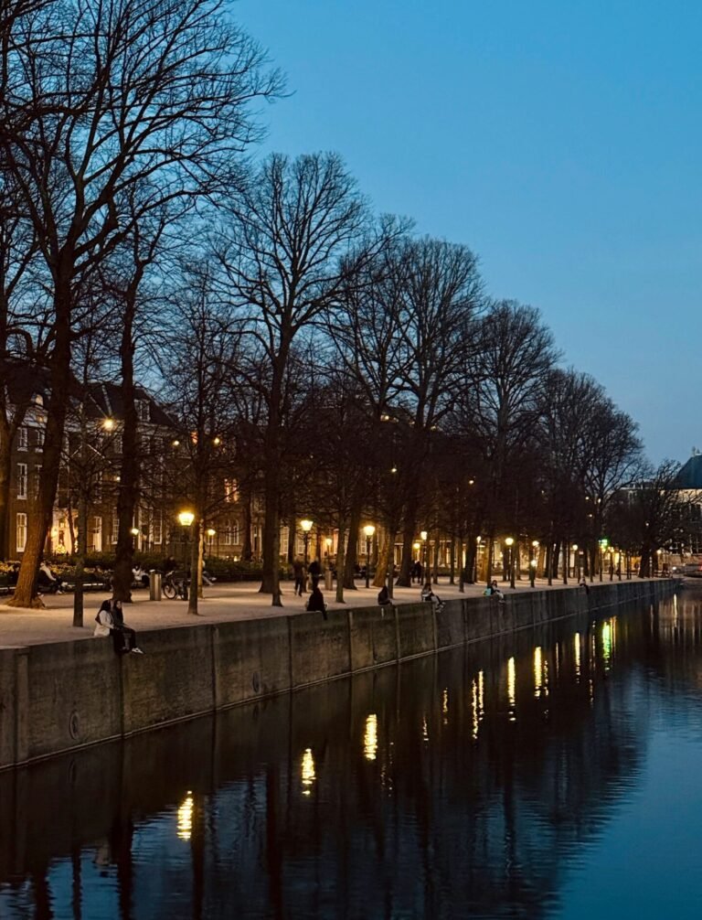 Renting a property in the hague